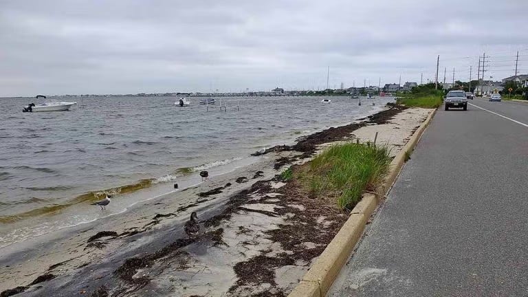 The New Jersey Back Bays Plan: Why the Army Corps Is Choosing Elevation and Marsh Restoration Over Massive Storm Gates